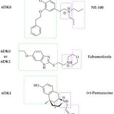 Visit our site and join an agency now. Yulia V Vakhitova S Research Works Ufa Scientific Center Of The Russian Academy Of Science Ufa Usc Ras And Other Places
