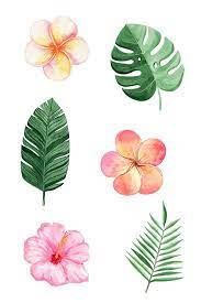Colorful realistic hand drawing of exotic, tropical flowers. Watercolor Tropical Flowers Clipart Summer Beach Clip Art Etsy Flower Drawing Flower Art Flower Art Painting