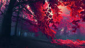 Widescreen Wallpaper Red Tree Wallpaper 1366x768 4335 Background Hd Wallpaper Tree Hd Wallpaper Landscape Wallpaper