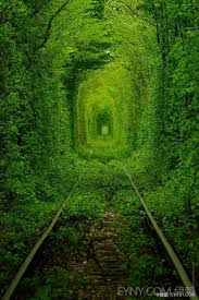 The site owner hides the web page description. Pin On Kitty