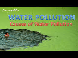 Without proper disposal or filtration of these pollutants, they can spread throughout the water. Causes Of Water Pollution Youtube