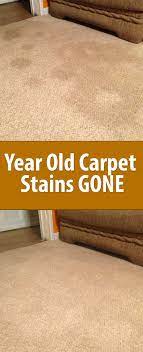 We looked at how intensive the process is and the results. Pin On Clean Up The Maid Has Left The Building