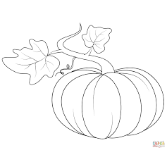 22 Creative Photo Of Pumpkin Coloring Pages Davemelillo Com Leaf Coloring Page Fall Coloring Pages Pumpkin Coloring Pages