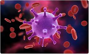 Visual based explanation of genomic replication of viruses. The Baltimore Classification System
