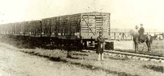 Image result for cattle cars