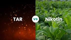 Nikotin vs TAR: Mana yang Lebih Berbahaya?