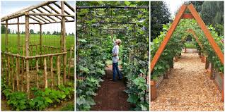 The trellis allows you to harvest your beans while standing upright! Upgrade Your Garden With A Diy Bean House This Spring How To Make A Bean House