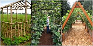 From cdn.shopify.com spring steel rods for tunnels, perfect in combination with garden fleece as well as shade… can be used singly to prop up tall stems, or grouped together around an invasive plant. Upgrade Your Garden With A Diy Bean House This Spring How To Make A Bean House