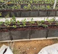 Vertical Farm Greenhouse Indoor Planting Trough - Urban ...