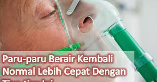 Posted by ummuziyad on august 9, 2017 in no comments. My Health Venture Rahsia Paru Paru Berair Sembuh Lebih Cepat Berbanding Biasa