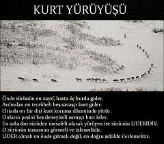 Kurt Yuruyus Duzeni Ozlu Sozler Bilgi Karti Bilgi