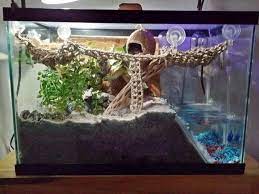 Hermit crabs must occupy shelter produced by other organisms, or risk being defenseless. Hermit Crab Tank Setup Ideas Google Search Hermit Crab Hermit Crab Tank Hermit Crab Cage