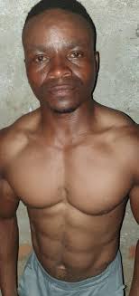 Do I need creatine or BCAA supplements?