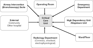 Zuellig pharma's micare myhealth application helps to address this challenge. Diagnosis Section 1 Core Topics In Cardiothoracic Critical Care