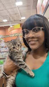 How to introduce two cats to each other?