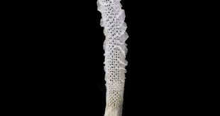 Photograph Of Euplectella Aspergillum Specimen By Swee Cheng Flower Basket Invertebrates Nature Inspiration