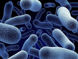 Maybe you would like to learn more about one of these? Understanding Cell And Tissue Preservation Methodology
