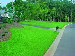 Can you hydroseed your own lawn. How Hydroseeding Can Grow Your Lawn Landscaping Business