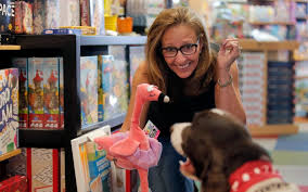 About Us Kidstop Toys And Books