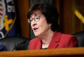 Investigator Reviews Crime Scene Photos from Where John O'Keefe Was Found