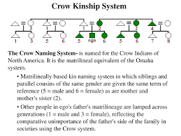 Ppt Kinship Dynamics Powerpoint Presentation Free