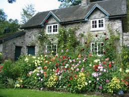 English Cottage Homes Google Search In 2020 Mit Bildern Englische Land Garten Englische Landhausgarten Cottage Garten