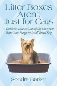 How To Litter Box Train A Dog Small Dog Breeds Dogs Litter Training