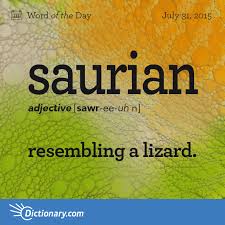 Saurian Word Of The Day Dictionary Com Uncommon Words Weird Words Words