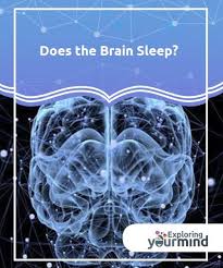 Does The Brain Sleep Brain Exploring Your Mind In 2020 Brain Sleep Brain Neuroscience