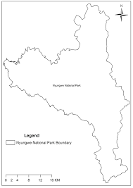 Image result for Ixora burundiensis