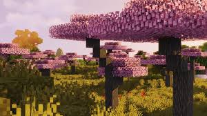 Artisan artist 15 this small texture pack will change your acacia trees to cherry blossom trees. Cherry Blossom Trees Minecraft Texture Pack