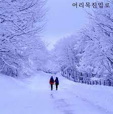 Pure White Hallasan Mountain In Winter Jeju Island Korea
