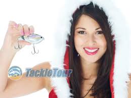 2011 Holiday Gift Guide