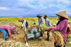 Kak saya ada tugas ngambil ngambar animasi bergerak kok saya kopi ke kompi jadi gak bergerak cara mindahinnya biar gerak juga di kompi gmn? Contoh Gambar Kegiatan Produksi Konsumsi Dan Distribusi