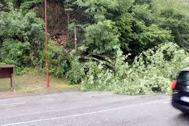 Maybe you would like to learn more about one of these? Serrieres Un Arbre Tombe Sur La Route Et Coupe La Circulation