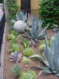 A premium compost, specially formulated to cater the needs of plants like cacti, succulents, bonsai, alpines and african violets that prefer slightly acid growing conditions. Lawn Fertilizer And Leach Fields Are The Two Greatest Sources Of Nitrogen N In Desert Soils