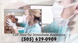 • san marcos, ca 92078 • 760.744.5400 Animal Hostpital Santa Fe 505 629 0909 Youtube