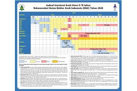 Jadwal imunisasi yang dibuat oleh dokter sebenarnya dirancang berdasarkan efektivitas kerja vaksin dan reaksi kekebalan tubuh si kecil. Jadwal Imunisasi Anak Terbaru Rekomendasi Idai Tahun 2020 Halaman All Kompas Com