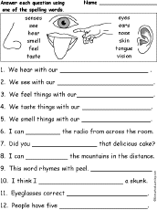 Questions Senses Five Senses Of For Use Word First Senses Spelling List Worksheets Grade Five Spelli Five Senses Worksheet Human Body Worksheets Spelling Words