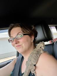 What to feed 8 week old bearded dragon?