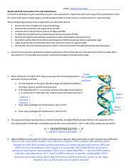 What nucleic acid = dna or rna dna or rna = 3 parts 3 parts = phosphate group, a sugar, + nitrogenous base pentose sugar = deoxyribose or ribose. Refer To Figures 39 And 310 To Help You Answer The Following Questions About Course Hero