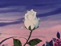 Find videos of animated background. Amazing Roses Animated Gifs