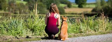 Melanie müllers spendengala ist allerdings im nachgang etwas aus dem ruder gelaufen. Cavas Hundeschule Training Fur Und Mit Hunden