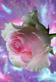 Https Encrypted Tbn0 Gstatic Com Images Q Tbn And9gcqpl Dhhcv5sm7nffwe4zeozfqqvijmlwlwyg Usqp Cau