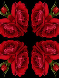 Https Encrypted Tbn0 Gstatic Com Images Q Tbn And9gcrds552ujbyqonz Voyinir8i0kjt5bpsazw Usqp Cau