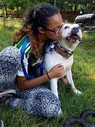 Oregon coast (cor) portland, or. Adopt A Dog Sevadog Family Rescue Eugene Oregon