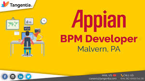 we are looking for appian bpm developer
