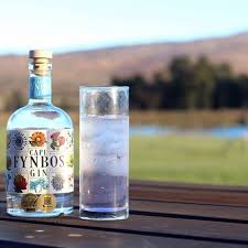 Thirstythursday Equals Gin Time Thirsty Thursday Instagram Gin