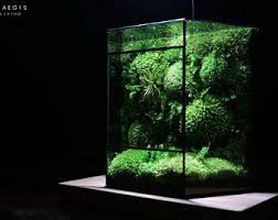 Forest Terrarium The Lilac Dream Artificial Plant Etsy In 2020 Artificial Plant Arrangements Beautiful Terrariums Artificial Plants