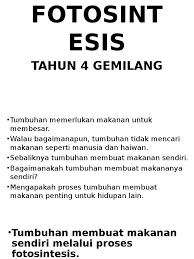 Proses fotosintesis fokus pada klorofil yang membutuhkan cahaya matahari untuk membuat glukosa. Fotosintesis Slide Tahun 4 Kssr